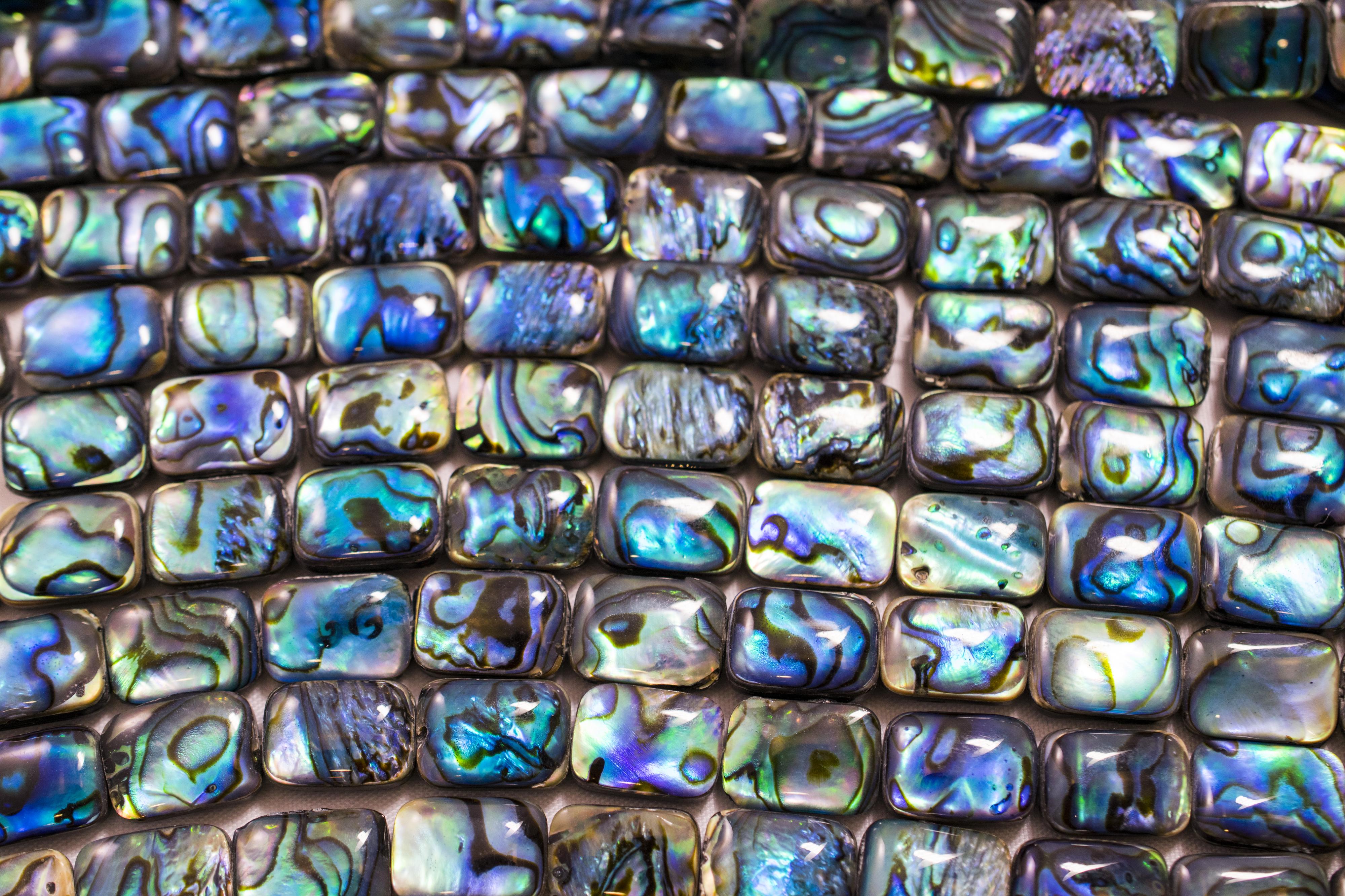 Seeopal Strang Rechteckform 10x14 mm